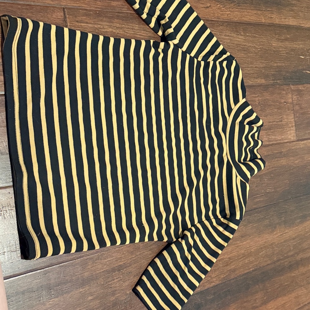 Vici Black and Tan Striped Top